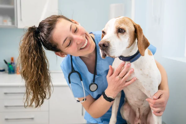 Jong gelukkig dierenarts verpleegster glimlachen tijdens het spelen met een hond. Rechtenvrije Stockfoto's