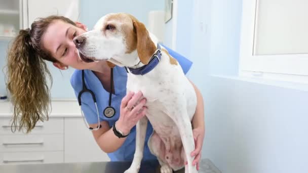 Giovane infermiera veterinaria felice sorridente mentre gioca con un cane. — Video Stock