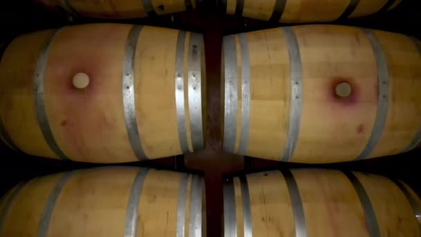 Boven uitzicht op de wijnkelder vol houten vaten. — Stockvideo