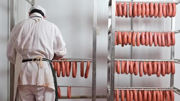 Lavoratore appende salsicce crude su scaffali in magazzino presso la fabbrica di lavorazione della carne — Video Stock