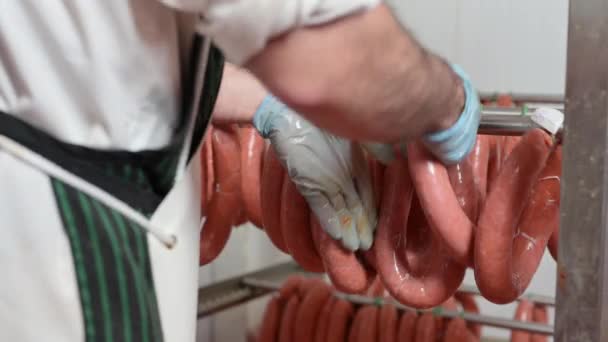 Worker hangs raw sausages on racks in storage room at meat processing factory — Stock Video