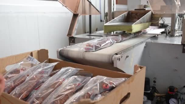 Worstjes. Verpakkingslijn van Spaanse worsten Chorizo is een gezouten, droge worst van varkensvlees in een varkensdarm. Industriële vervaardiging van worstproducten. — Stockvideo