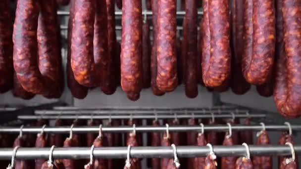 Close-up zicht op typisch Spaanse gedroogde worst, Chorizo, hangend aan rek bij vleesverwerkingsbedrijf berging. — Stockvideo