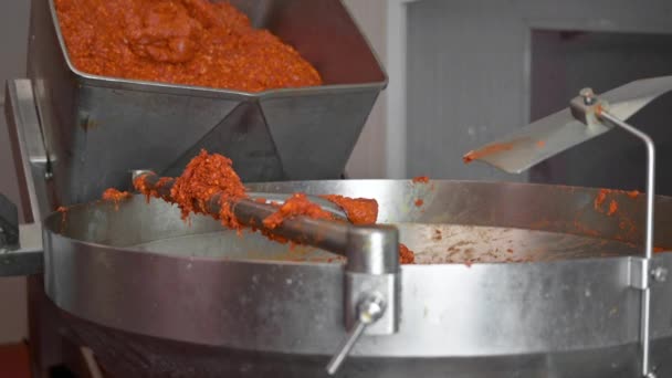 Macchina tritacarne, mescolando carne e spezie per fare salsicce in una fabbrica alimentare. — Video Stock