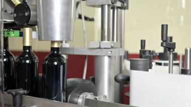 Şarap üretim fabrikası. Beyaz şarapla dolu cam şişeler. Şişe üretim hattı.