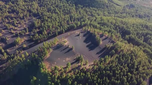 İspanya, Kanarya Adaları, Tenerife 'deki volkanik arazideki çam ormanlarının hava manzarası. — Stok video