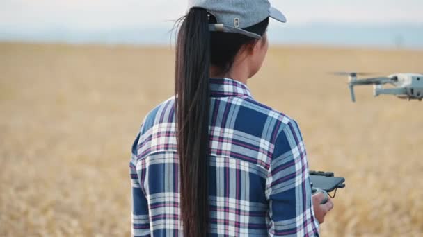 Γυναίκα αγρότης που φέρουν drone πάνω από τον τομέα του σιταριού χρησιμοποιώντας ελεγκτή, τον έλεγχο της παραγωγικότητας με σύγχρονη τεχνολογία. — Αρχείο Βίντεο