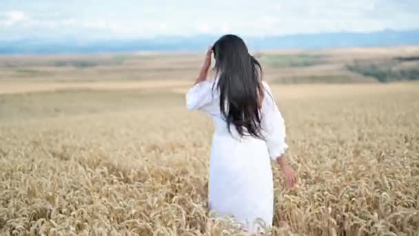 Młoda Latynoska kobieta w białej sukience spacerująca pośrodku pola pszenicy uśmiechnięta do kamery. — Wideo stockowe