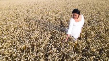 Buğday tarlasında beyaz elbiseli kadın görüntüsü. Özgürlüğün tadını çıkaran genç bir kadın buğdaya dokunuyor ve kırsalda eğleniyor.. 