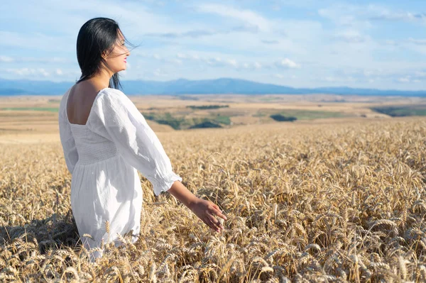 Young Woman in white dress standing on golden wheat field at sunny day, touching gently the wheat spikes. — Stock Photo, Image