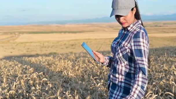 Νεαρή αγρονόμος ελέγχει την ανάπτυξη του σιταριού στο χωράφι. Ο αγρότης κρατάει σημειώσεις στο τάμπλετ. γεωργική επιχειρηματική ιδέα — Αρχείο Βίντεο