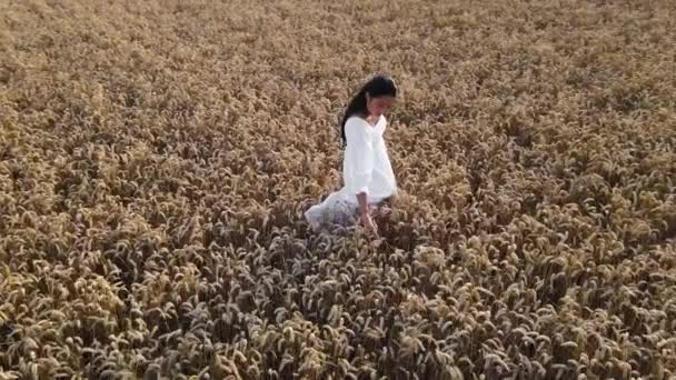 Młoda Latynoska kobieta w białej sukience stojąca na środku pola pszenicy delikatnie dotykając kolców pszenicy. — Wideo stockowe