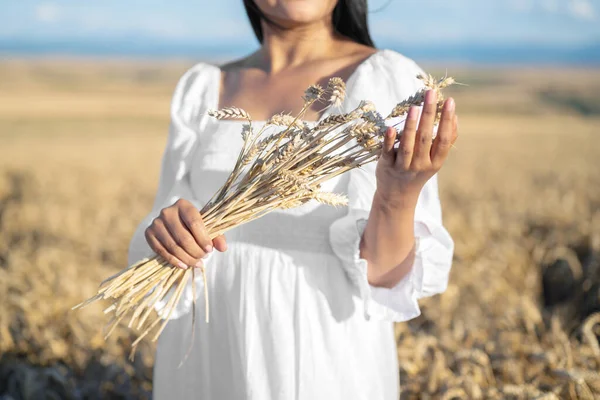 Woman in white dress stands in field with wheat. Person hold in hands bundle of ripe spikelets. Harvest season. — Stock Photo, Image