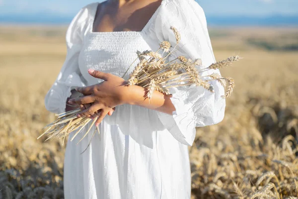 Woman in white dress stands in field with wheat. Person hold in hands bundle of ripe spikelets. Harvest season. — Stock Photo, Image