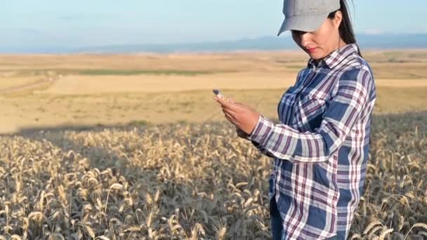 Mladá agronomka kontroluje růst pšenice na poli. Farmář si dělá poznámky na tabletu. agro obchodní koncept — Stock video