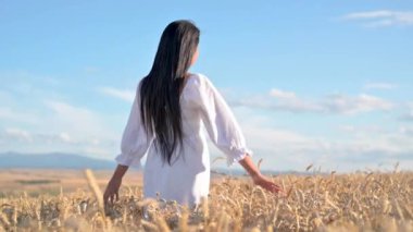 Güneşli bir günde altın buğday tarlasında dikilen beyaz elbiseli genç kadın buğday başaklarına hafifçe dokunuyor..