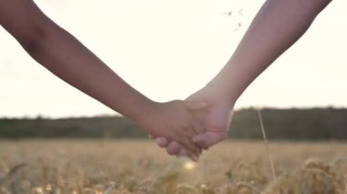 Gün batımında buğday tarlasında el ele tutuşan çiftlerin yakınlaşması. Arkaplanda Günbatımı.