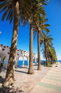 palmiye ağaçlarında nerja, malaga, Endülüs, İspanya ile boulevar.