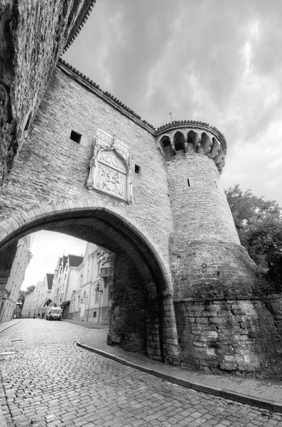 Torre e cancello nell'antica città medievale di Tallinn, Estonia . — Foto Stock