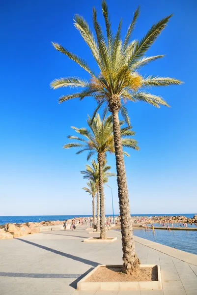 Passeio marítimo e praia em Torrevieja, Alicante, Espanha . — Fotografia de Stock