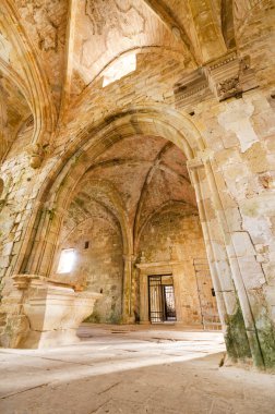Terk edilmiş eski bir manastır kalıntıları