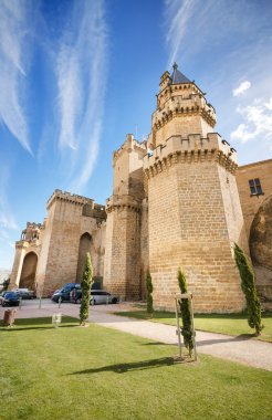 Doğal görünümü ünlü Olite Kalesi: Navarra, Spain.