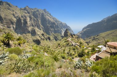 Doğal görünümünü Masca Kanyon Tenerife, Kanarya Adaları, İspanya.