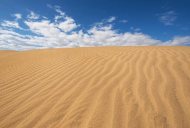 Golden kumullar Maspalomas, Gran Canaria, Kanarya Adaları, İspanya.