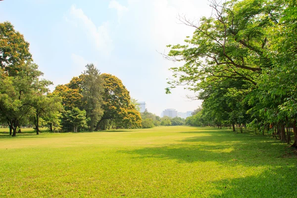 Parque público bonito — Fotografia de Stock