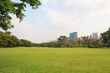 Güzel şehir parkı