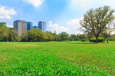 Şehir Parkı