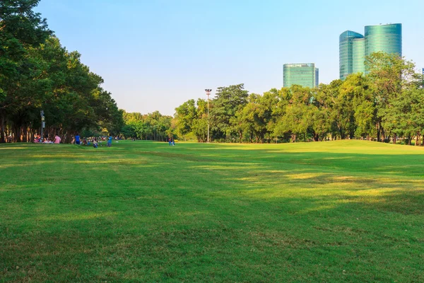 Park in city — Stock Photo, Image
