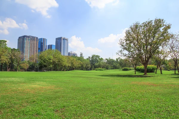 Park in city — Stock Photo, Image