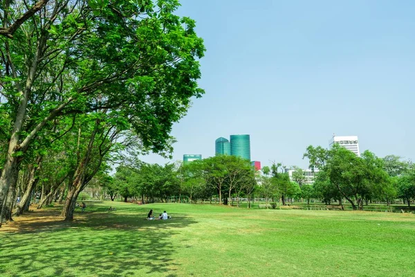 Park Bangkoku Koncepcja Tajlandii Park Miejski Pod Błękitnym Niebem Tłem — Zdjęcie stockowe