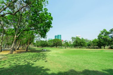 Bangkok Tayland 'da park. Şehir parkı. Mavi gökyüzünün altında..