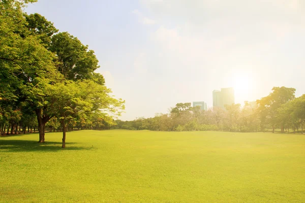 El hermoso parque de la ciudad — Foto de Stock