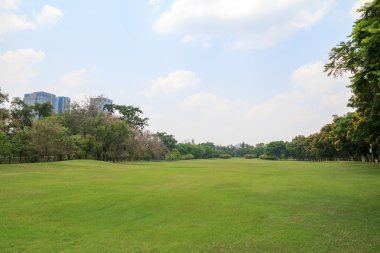 Şehir Parkı