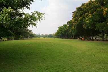Şehir Parkı