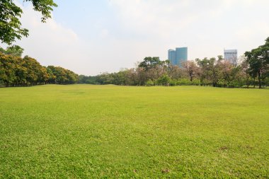 Güzel şehir parkı