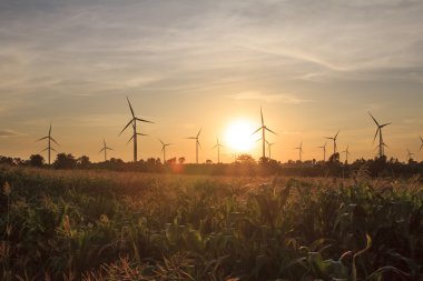 Rüzgar türbini güç jeneratörü