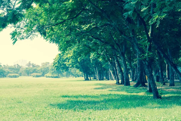 Stadsparken — Stockfoto