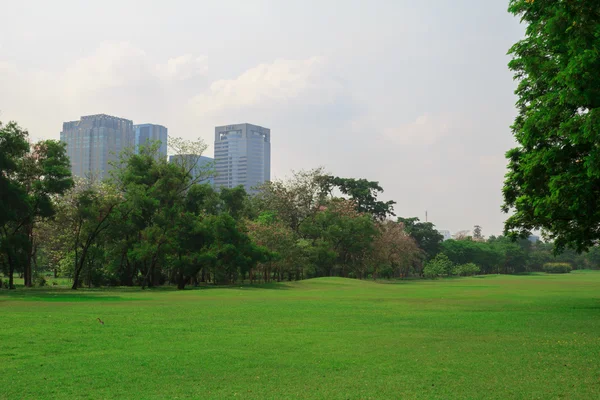 Parque da cidade — Fotografia de Stock