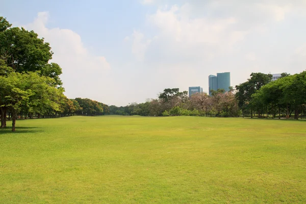 O belo parque da cidade — Fotografia de Stock