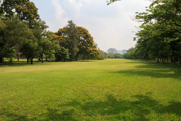 Vackra stadsparken — Stockfoto