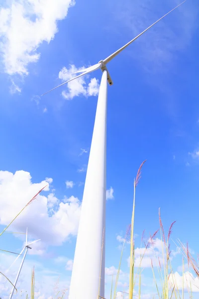 Turbina eólica —  Fotos de Stock