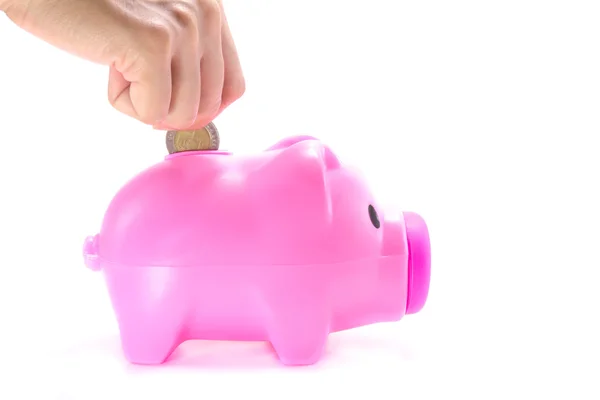 Piggy Bank — Stock Photo, Image