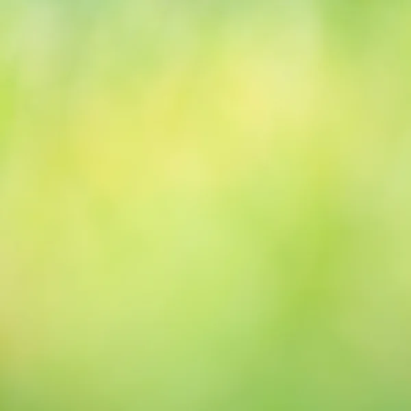 Background beautiful blur lawn — Stock Photo, Image