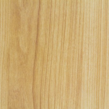 Dalgaların karaya attığı odun arka planı için