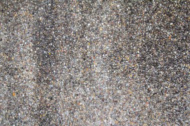 duvar ve yeşil liken