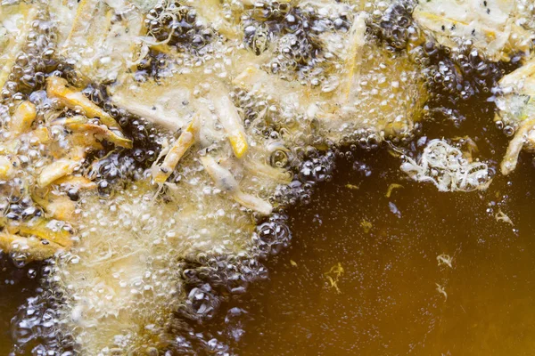 Dyni fritters w oleju — Zdjęcie stockowe